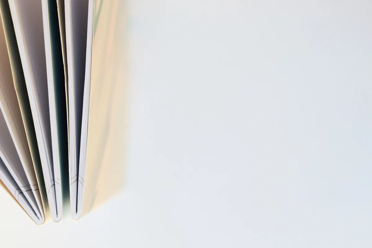 From Idea to Outline: A Beginner's Guide to Plotting a Novel