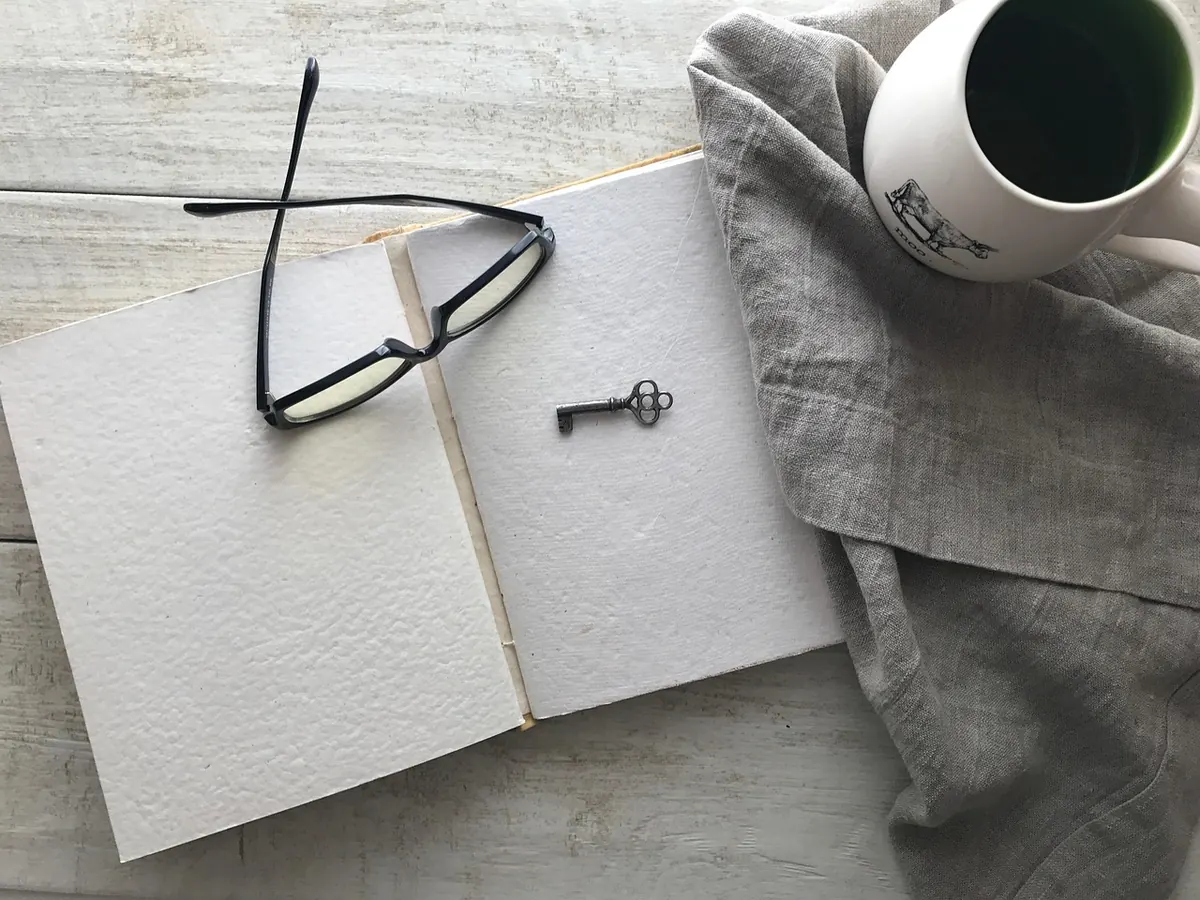 Synopsis vs Blurb: What's the Difference and Why It Matters for Novelists